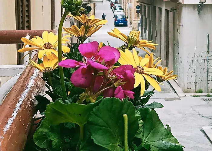 Thalia * 特拉帕尼