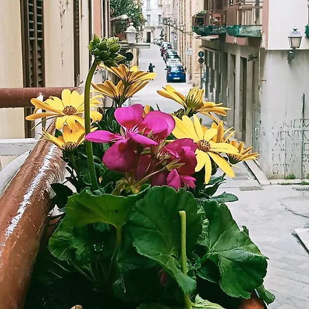 Thalia * Trapani